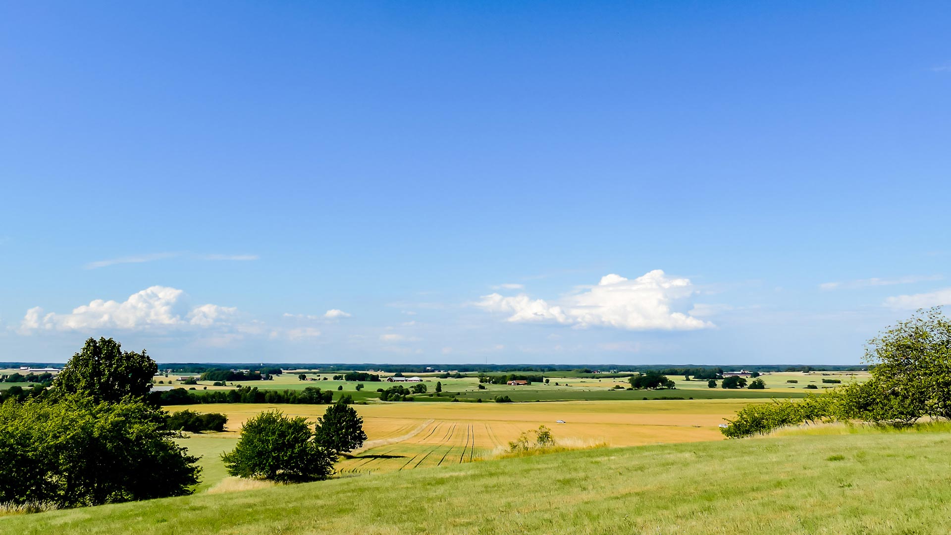 En bild över ett landskap i Sverige
