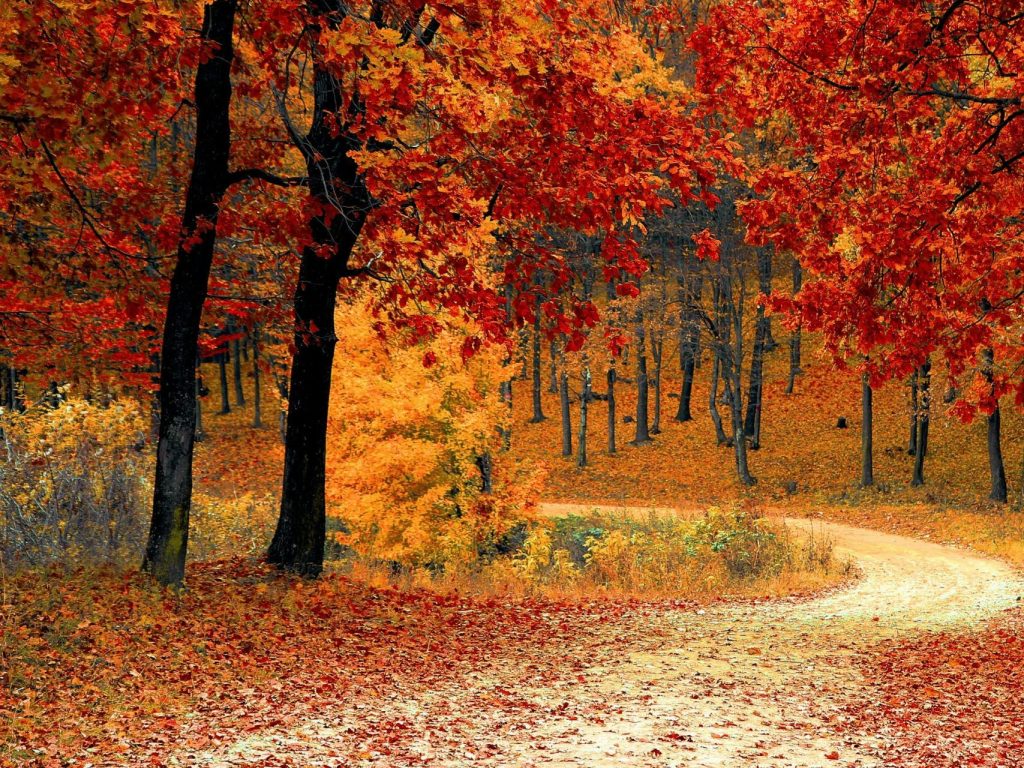 Miljöfrågor i Skåne